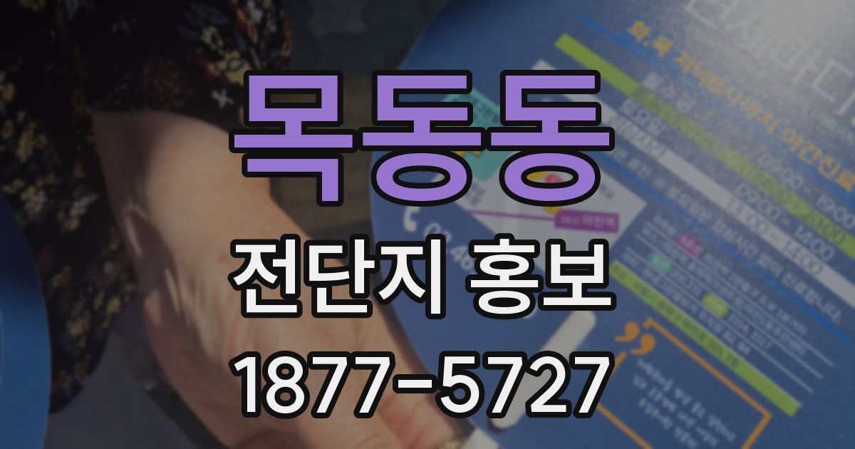 목동동 전단지 홍보