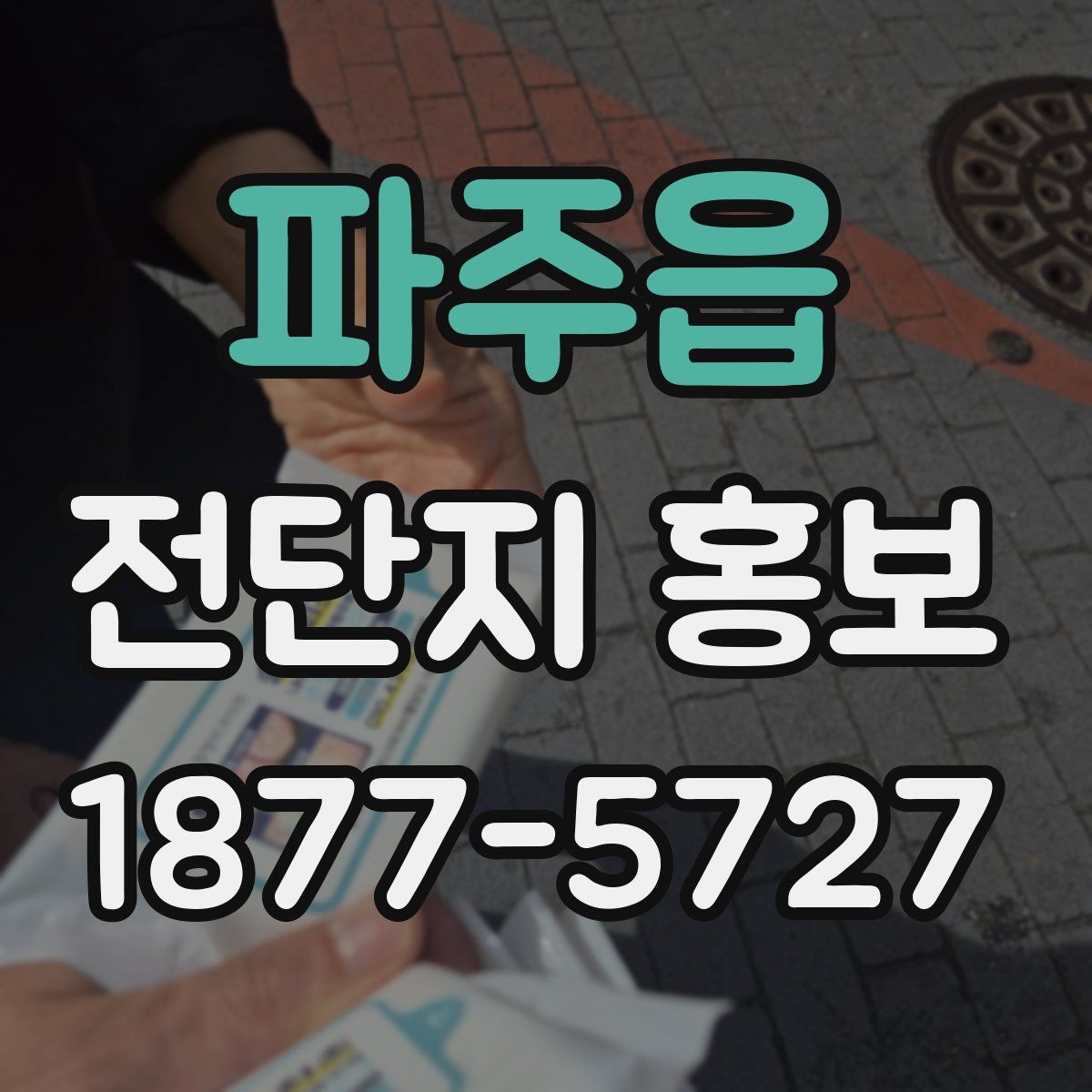 파주읍 전단지 홍보