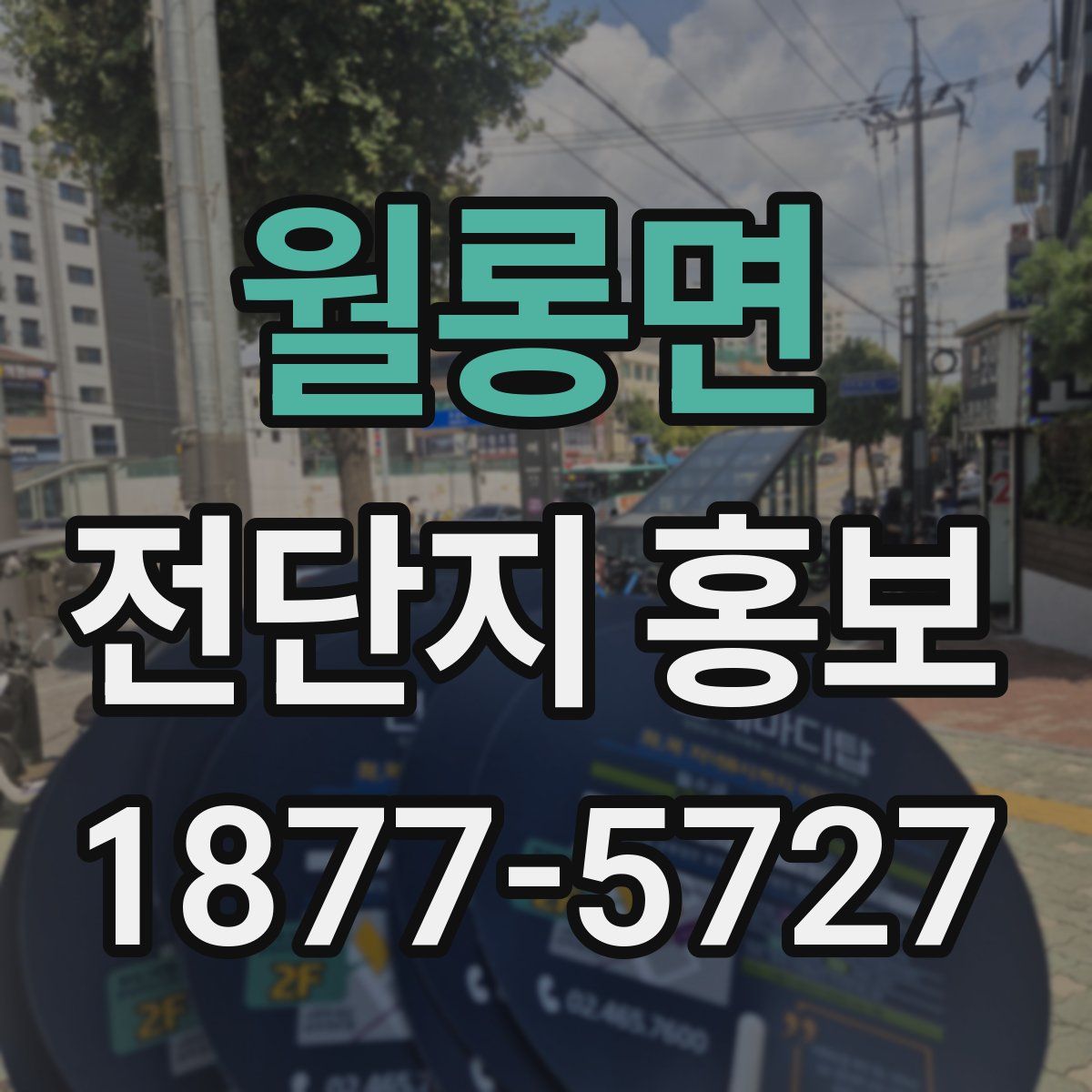 월롱면 전단지 홍보