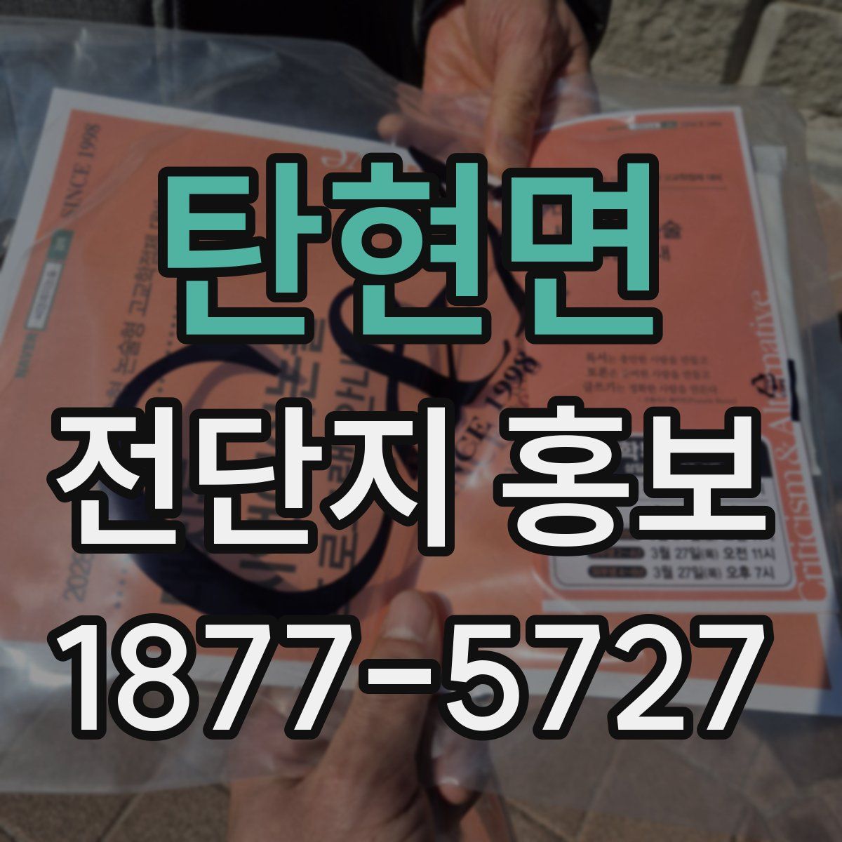 탄현면 전단지 홍보