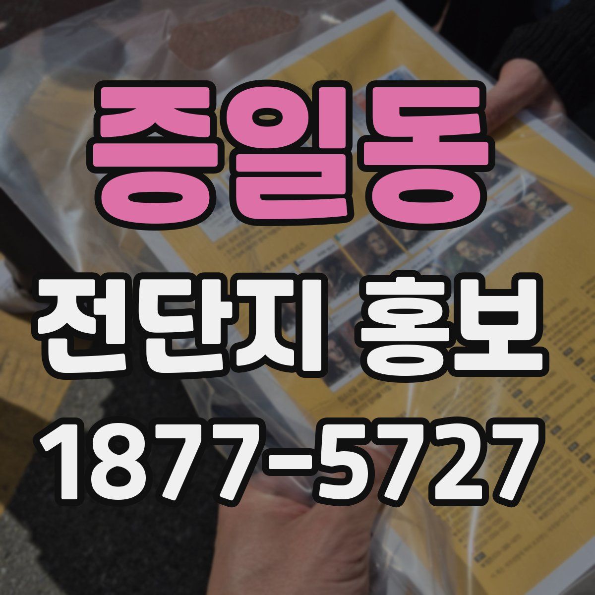 증일동 전단지 홍보
