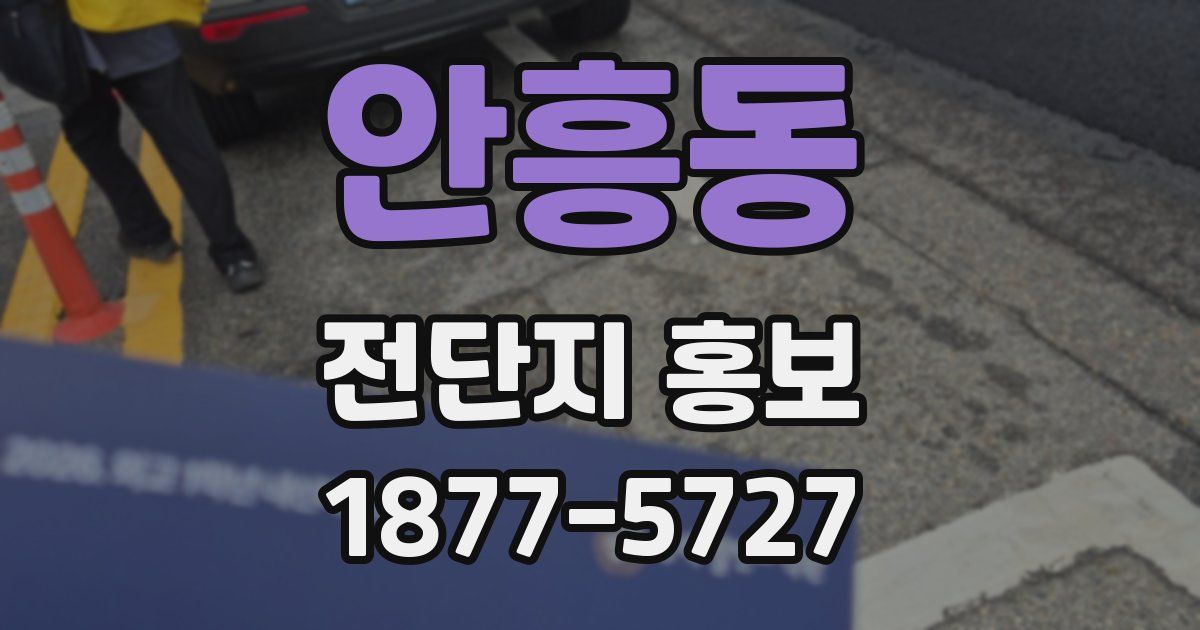 안흥동 전단지 홍보