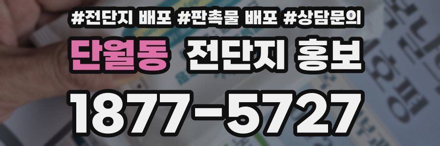 단월동 전단지 홍보