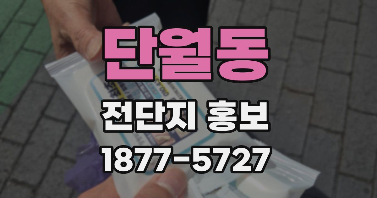 단월동 전단지 홍보
