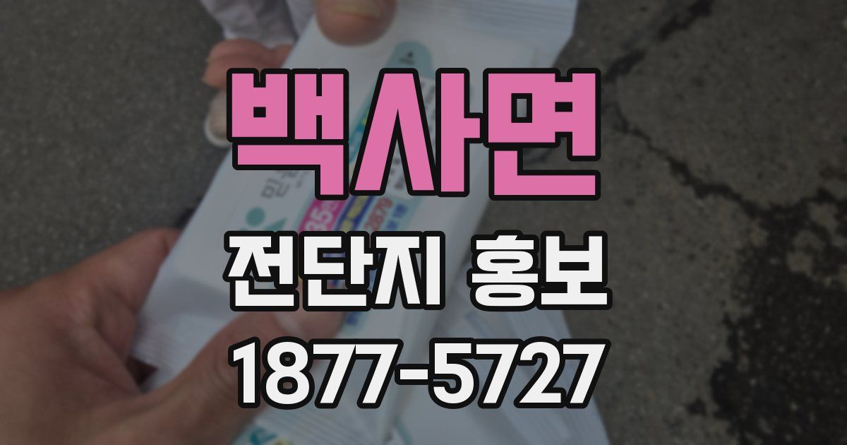 백사면 전단지 홍보