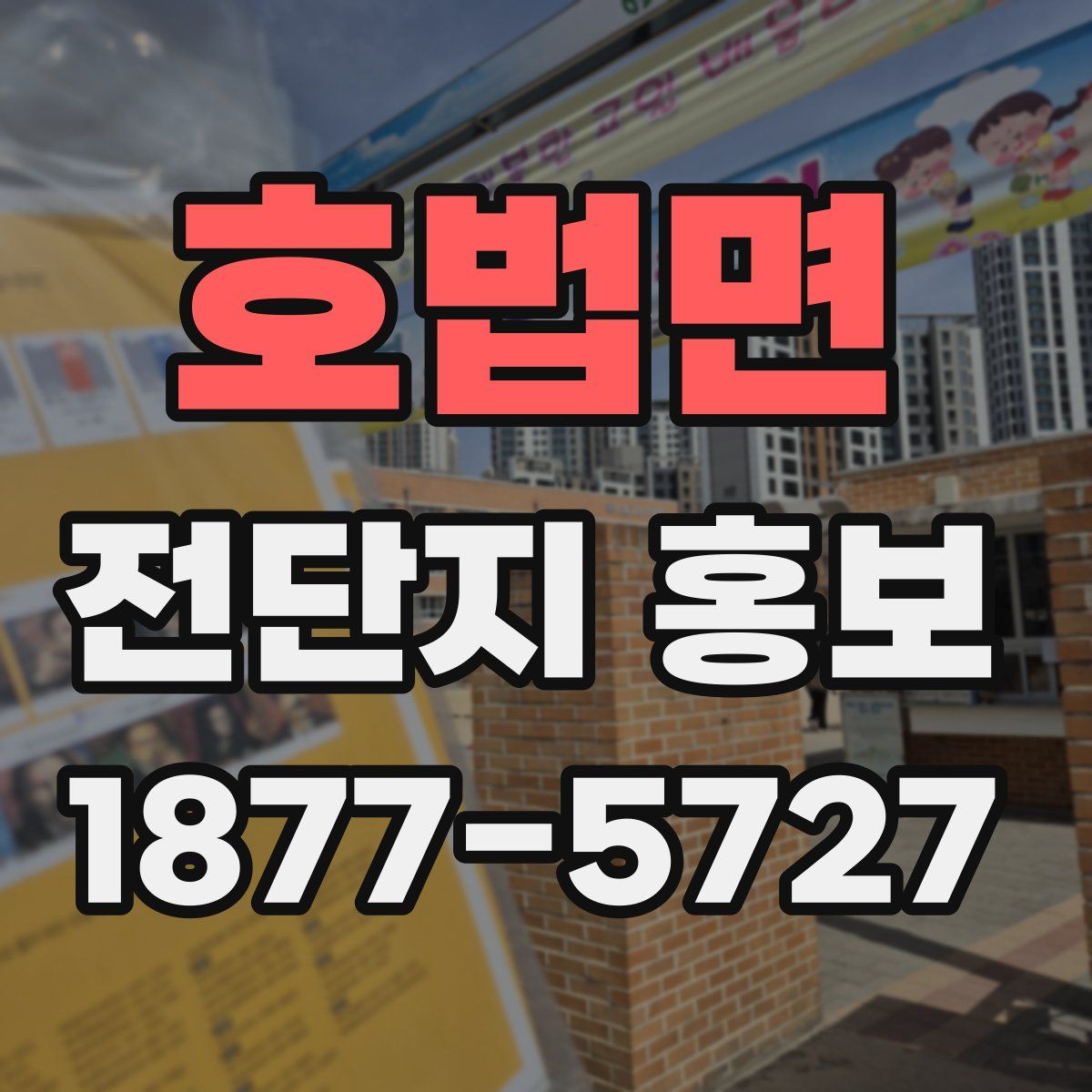호법면 전단지 홍보