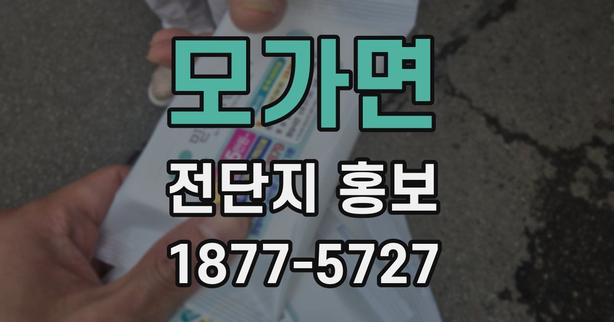 모가면 전단지 홍보