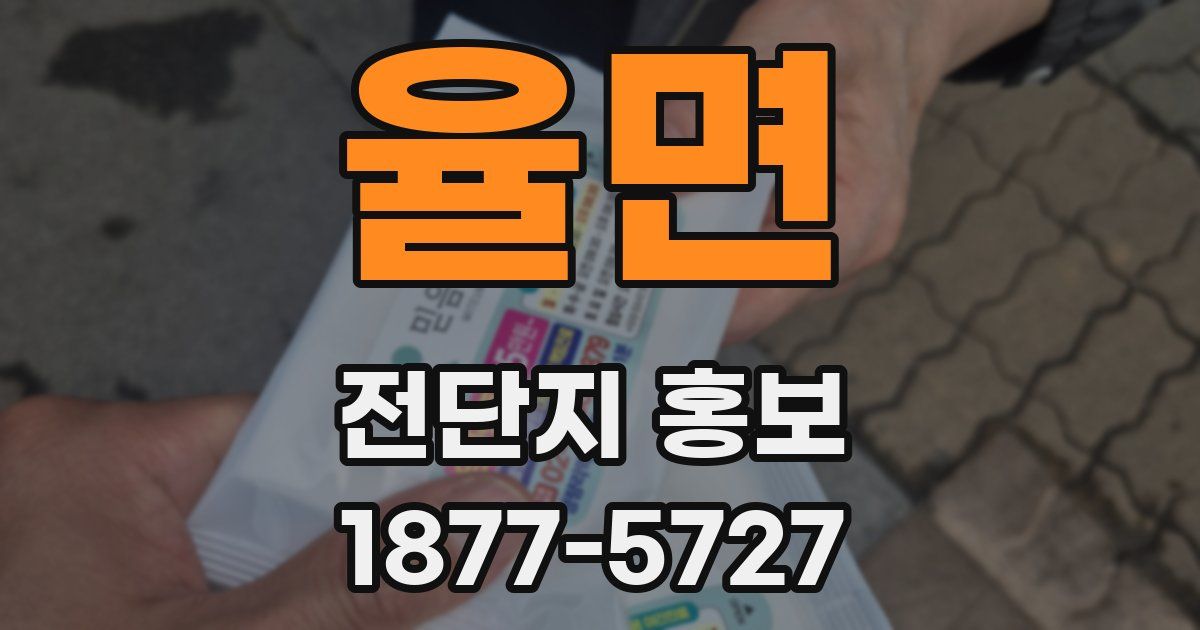율면 전단지 홍보