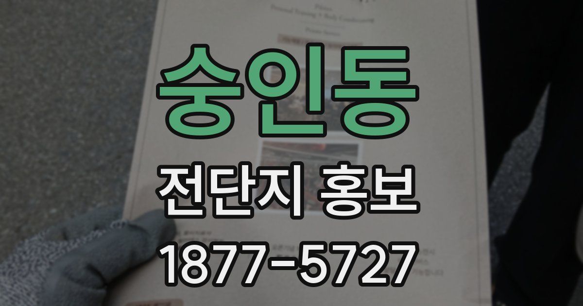 숭인동 전단지 홍보