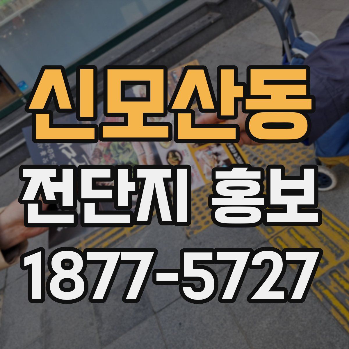 신모산동 전단지 홍보