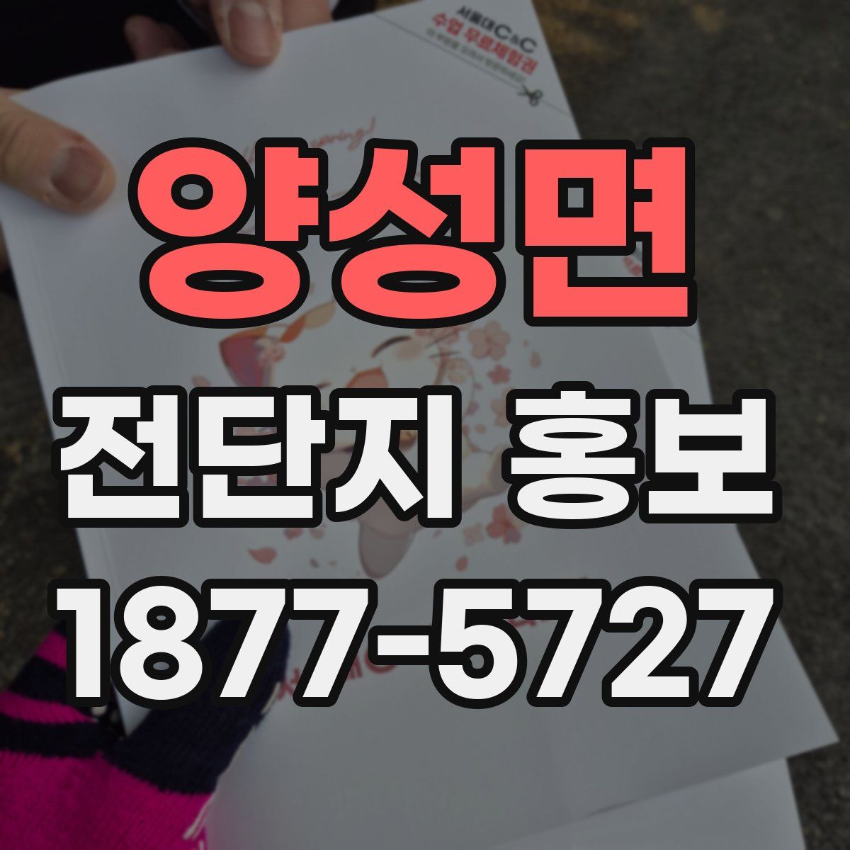 양성면 전단지 홍보