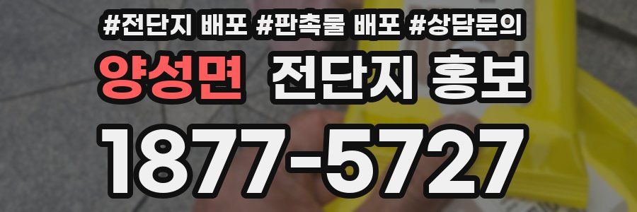양성면 전단지 홍보