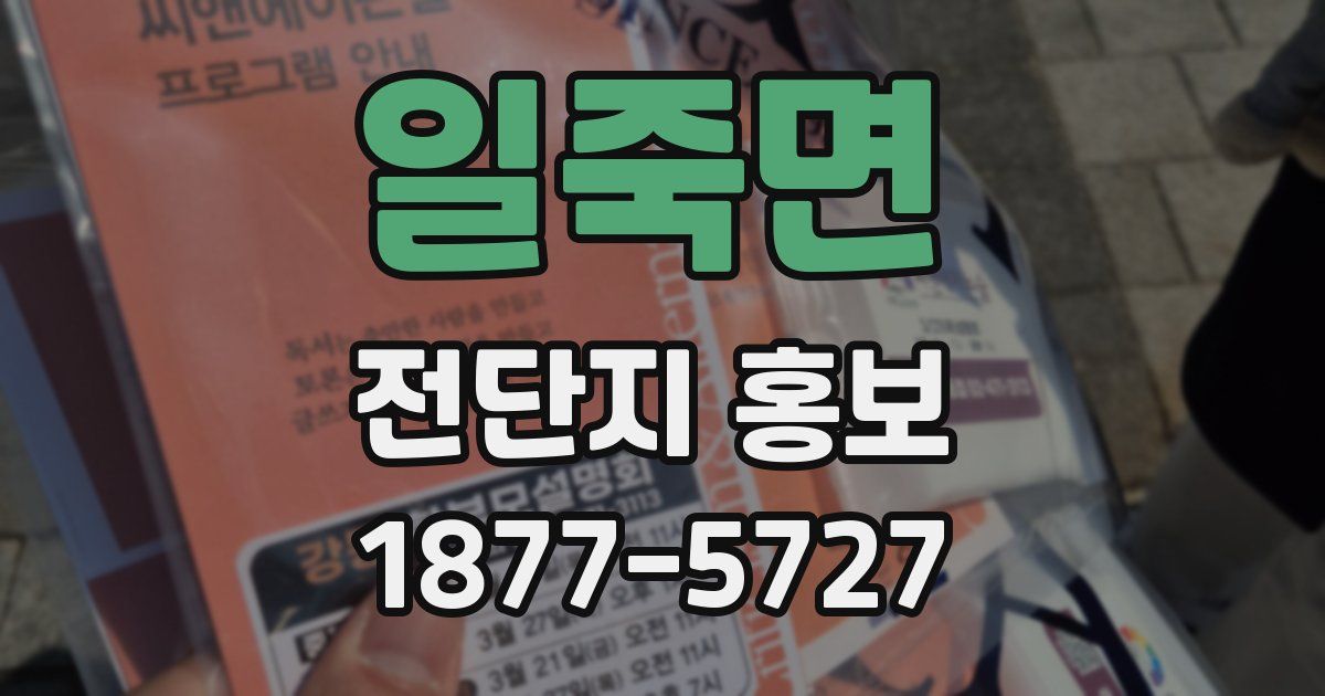 일죽면 전단지 홍보