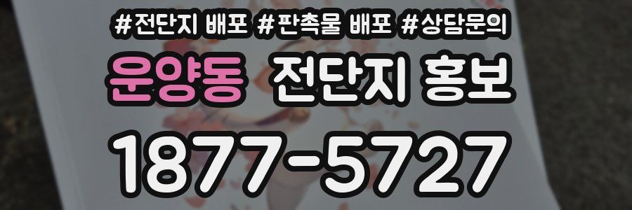 운양동 전단지 홍보