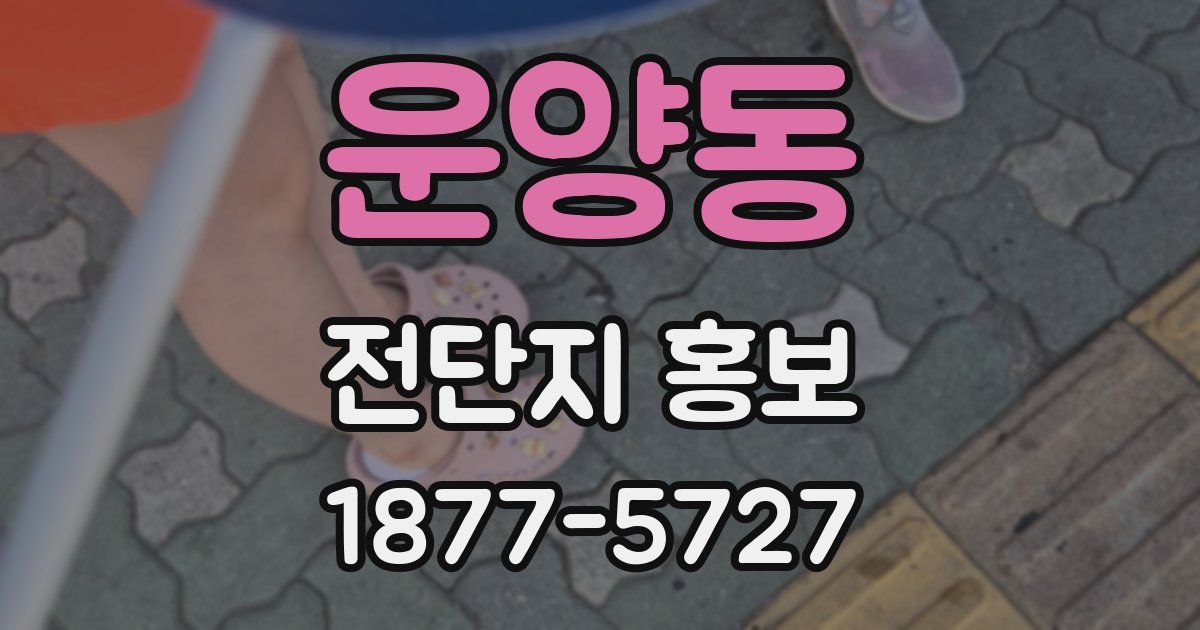 운양동 전단지 홍보