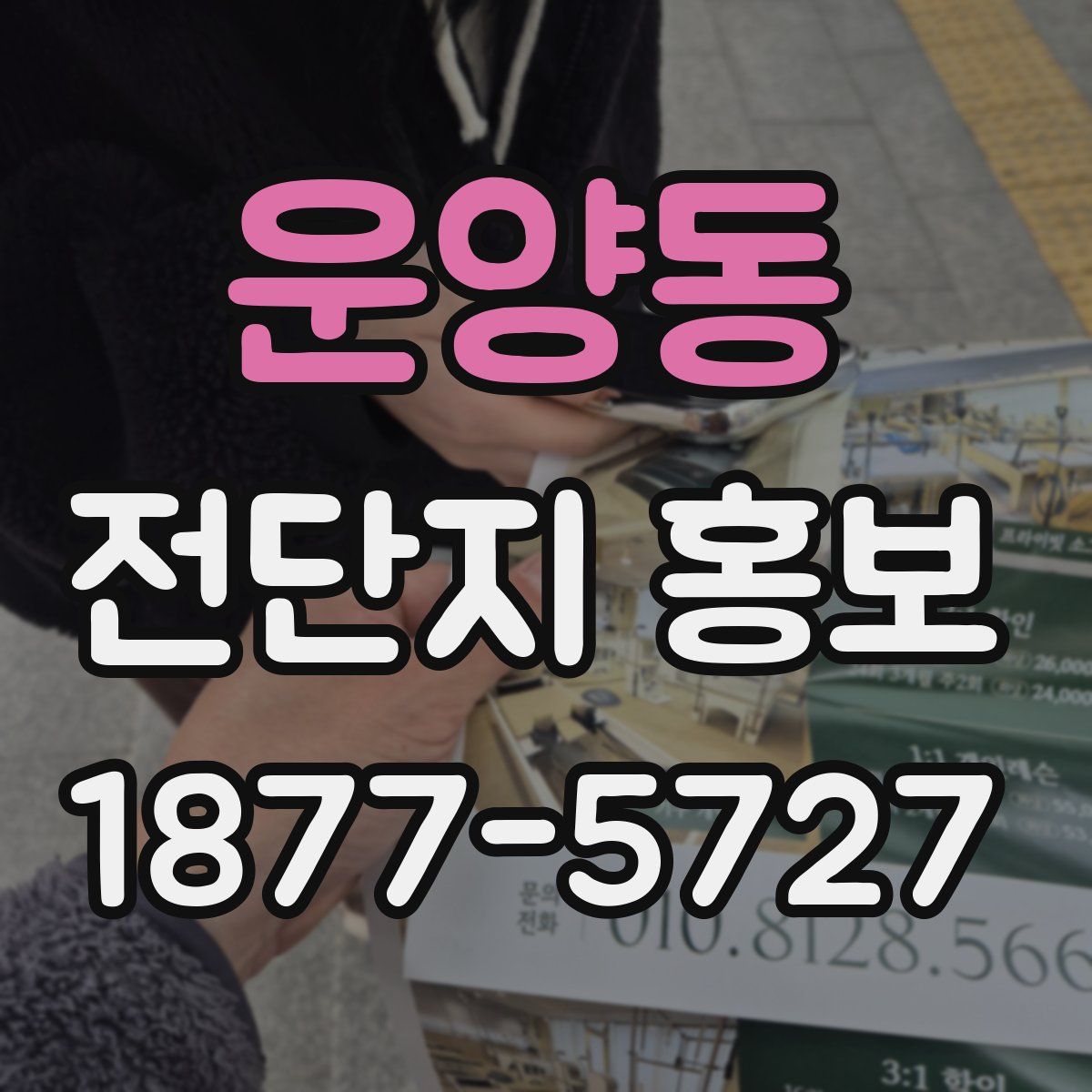 운양동 전단지 홍보