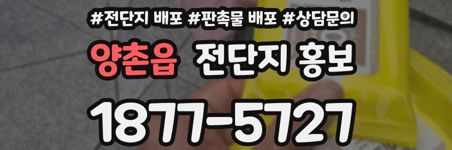 양촌읍 전단지 홍보