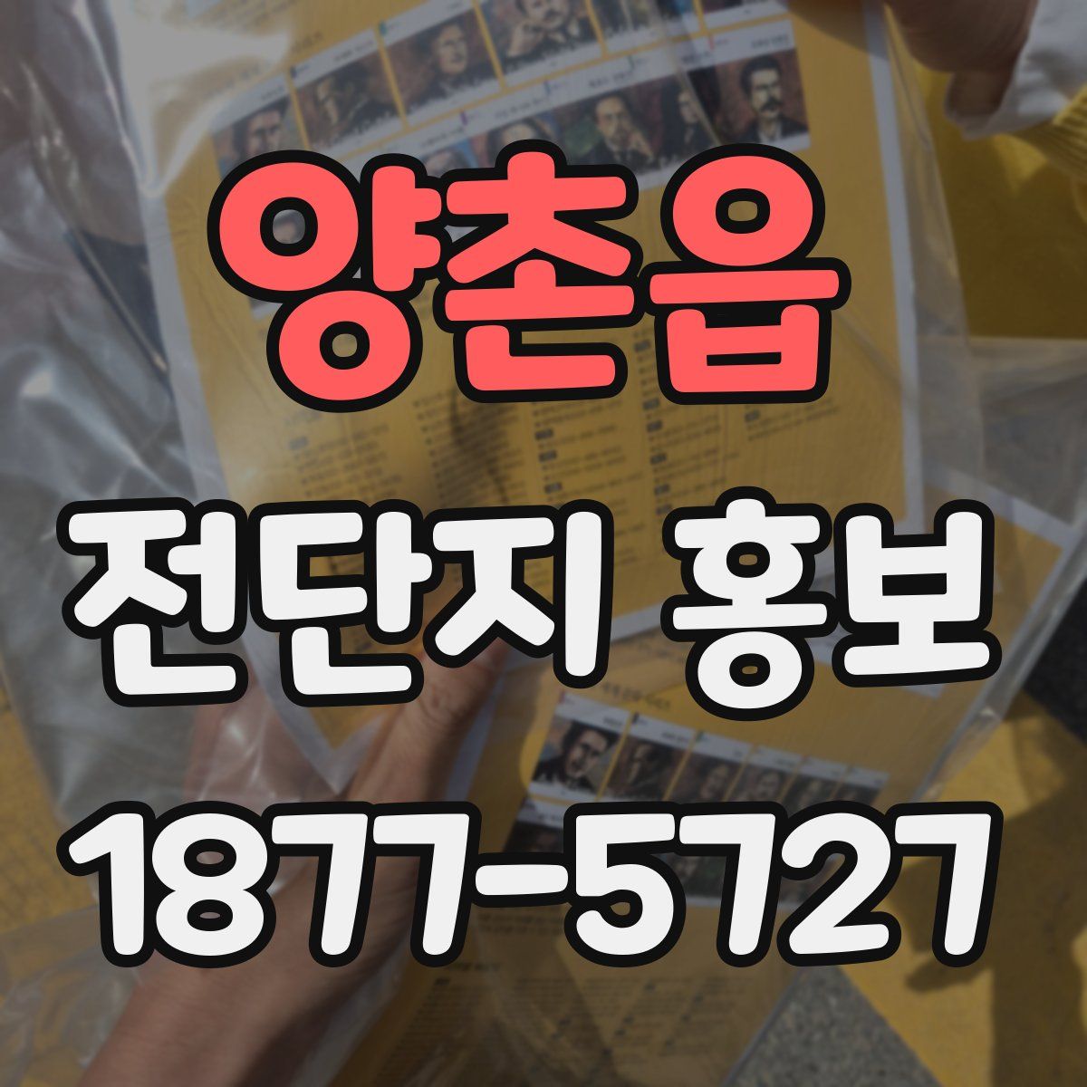 양촌읍 전단지 홍보