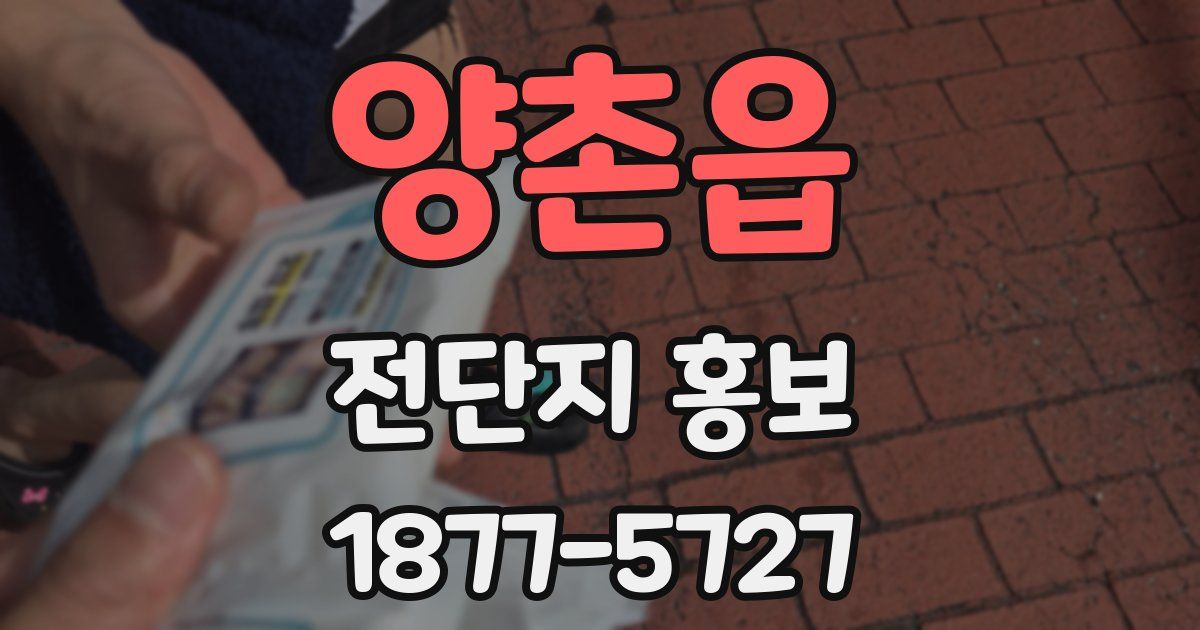 양촌읍 전단지 홍보