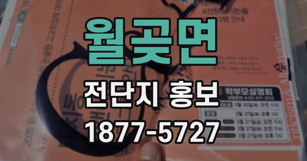 월곶면 전단지 홍보