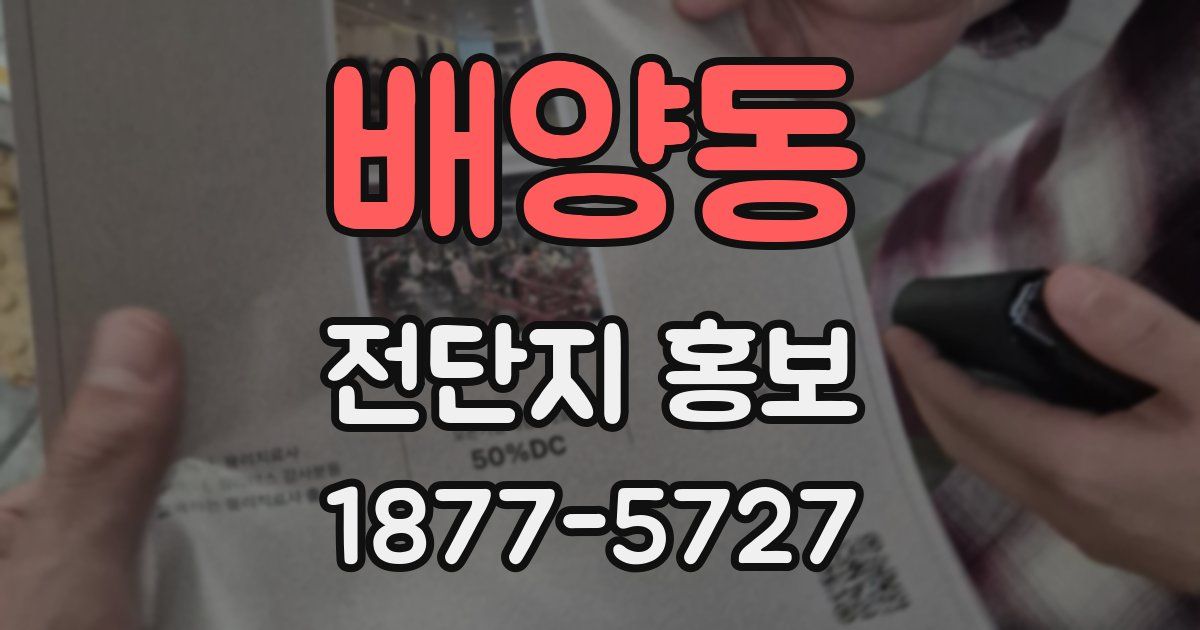 배양동 전단지 홍보