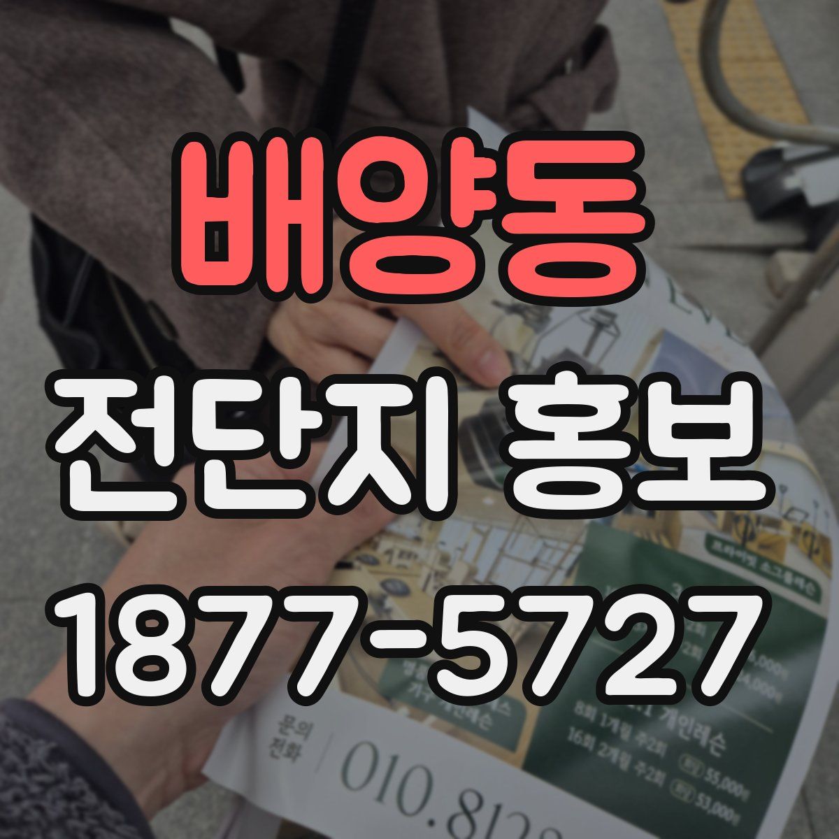 배양동 전단지 홍보
