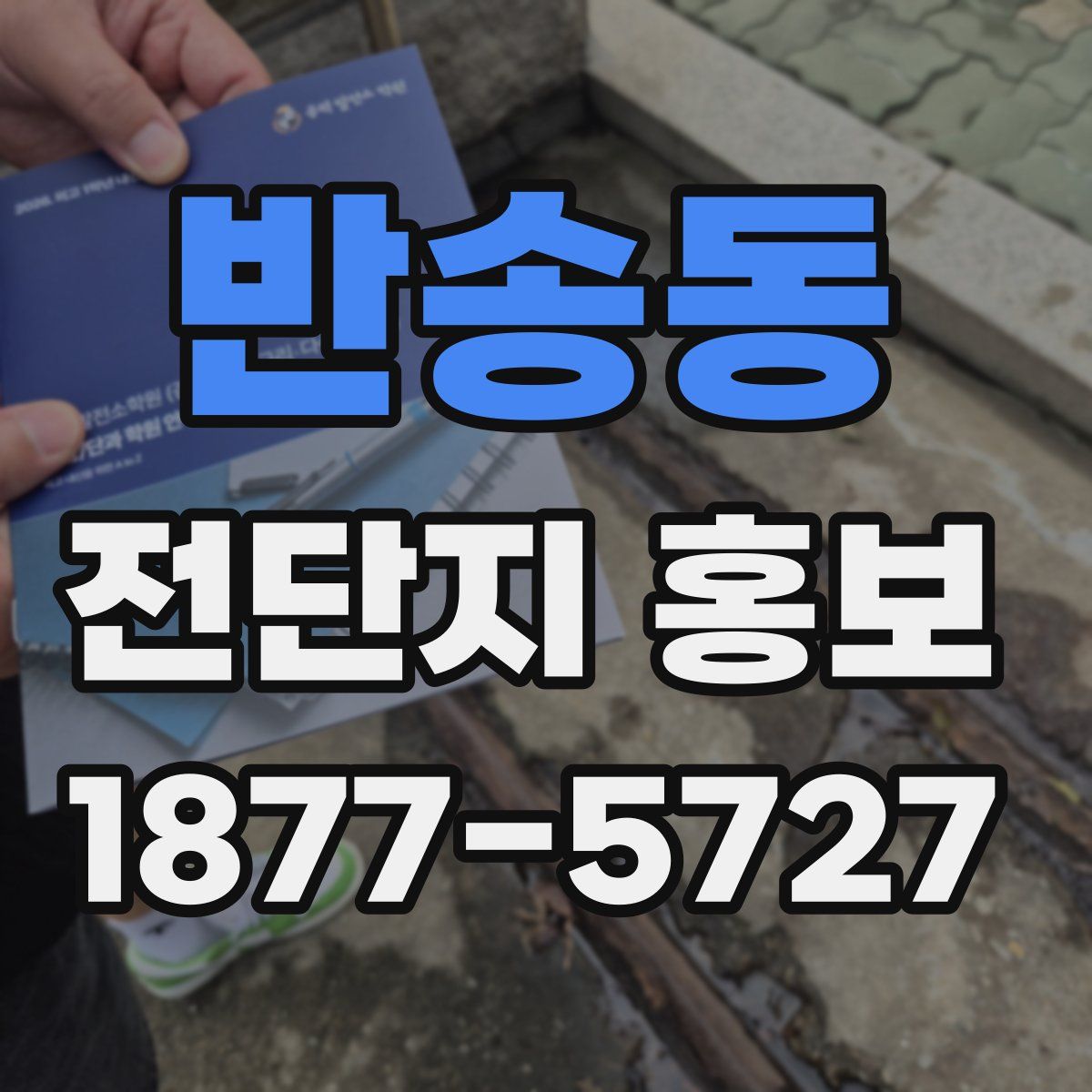 반송동 전단지 홍보