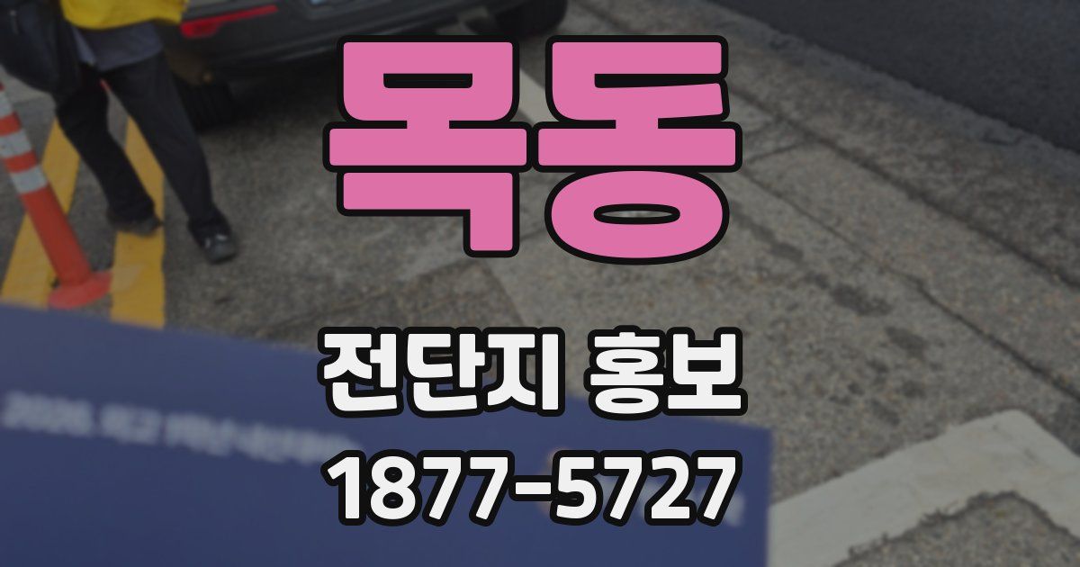 목동 전단지 홍보