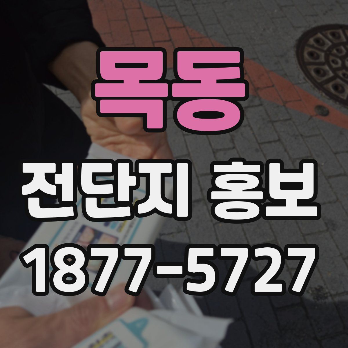 목동 전단지 홍보
