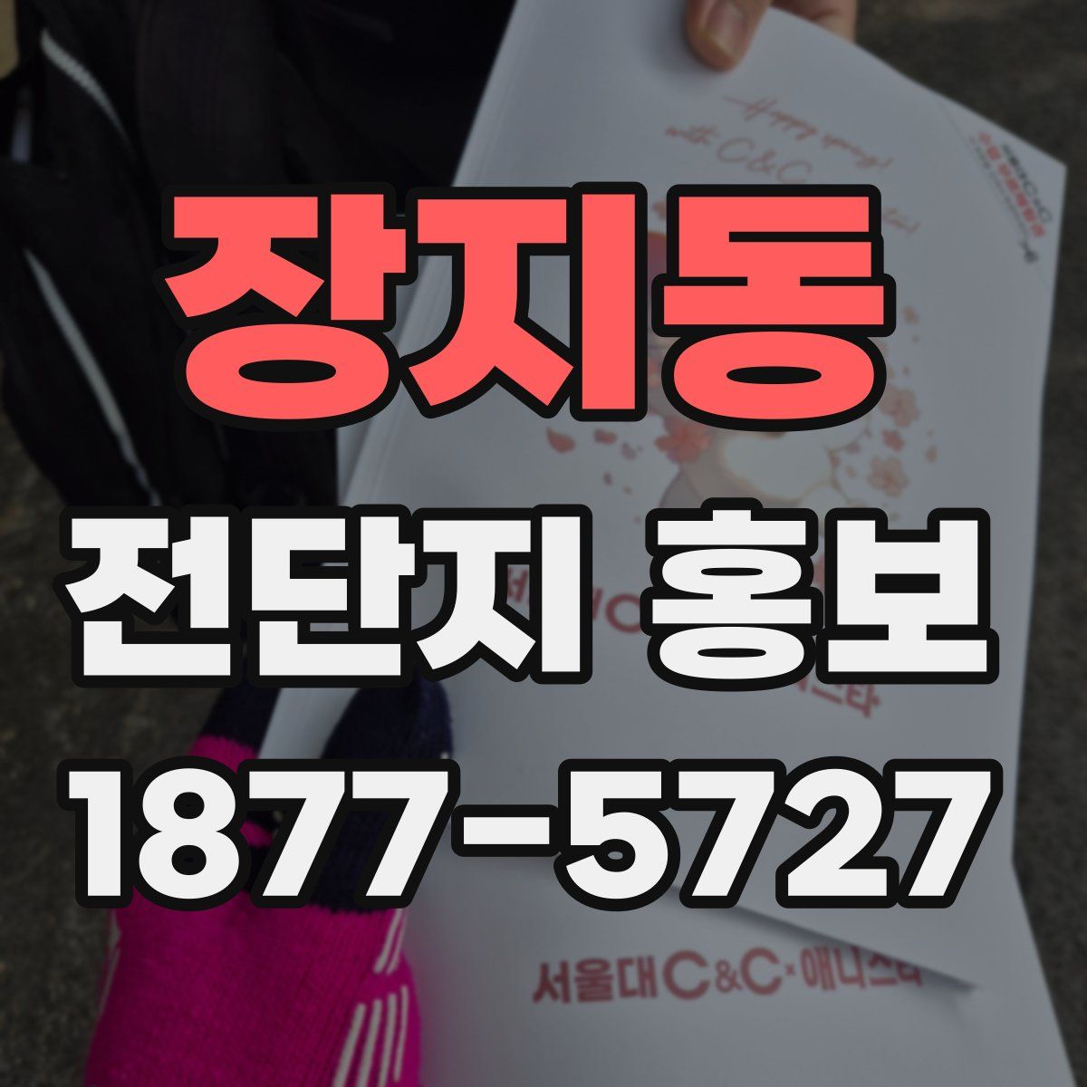장지동 전단지 홍보