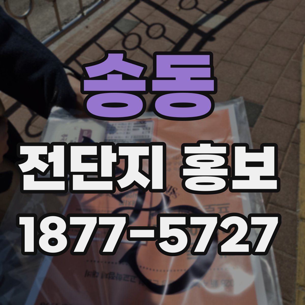 송동 전단지 홍보