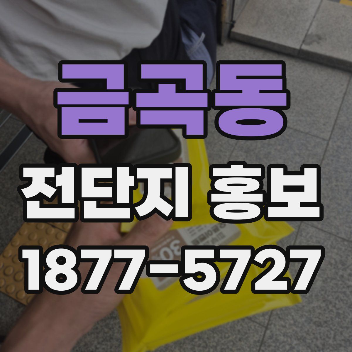 금곡동 전단지 홍보