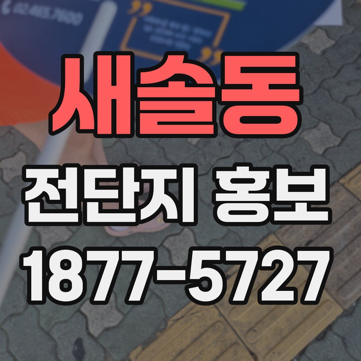 새솔동 전단지 홍보