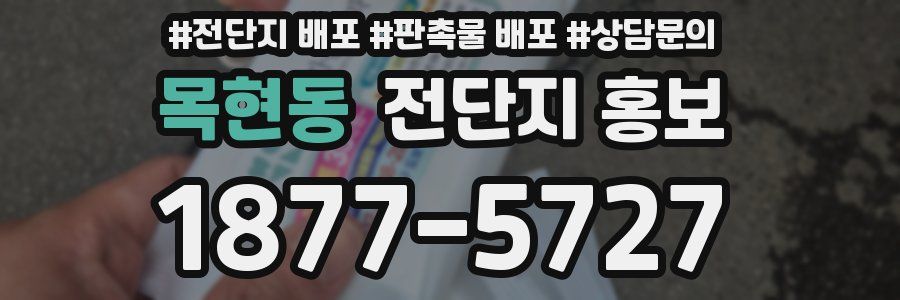 목현동 전단지 홍보