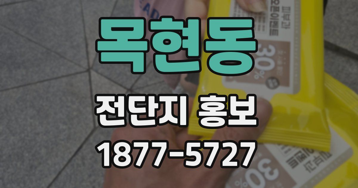 목현동 전단지 홍보