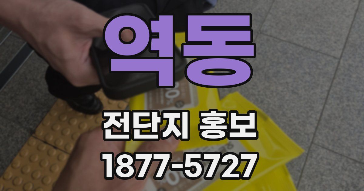 역동 전단지 홍보