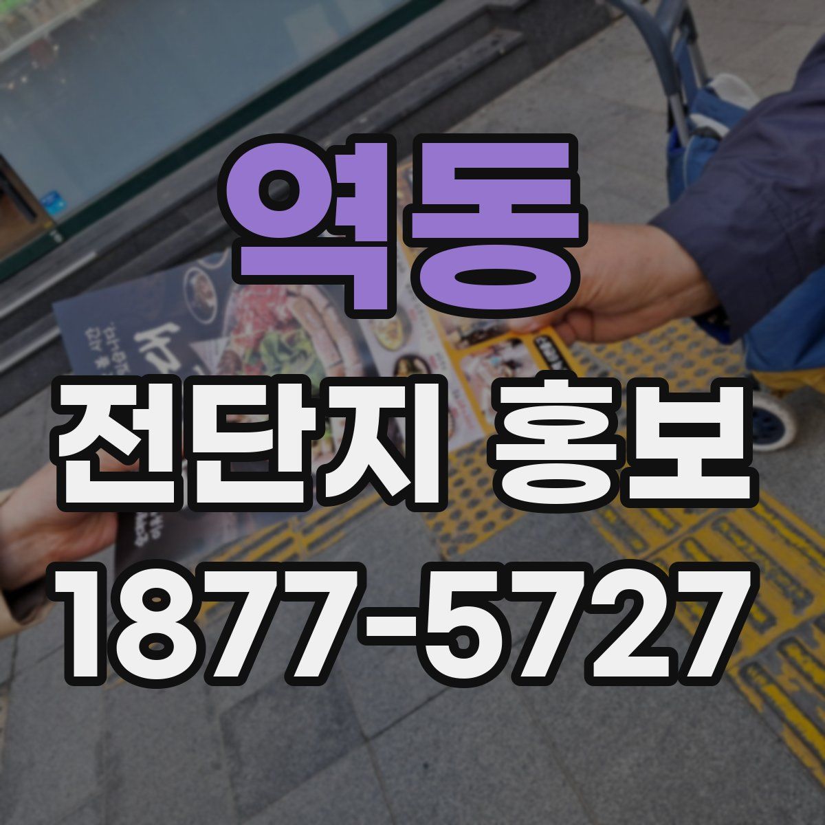 역동 전단지 홍보