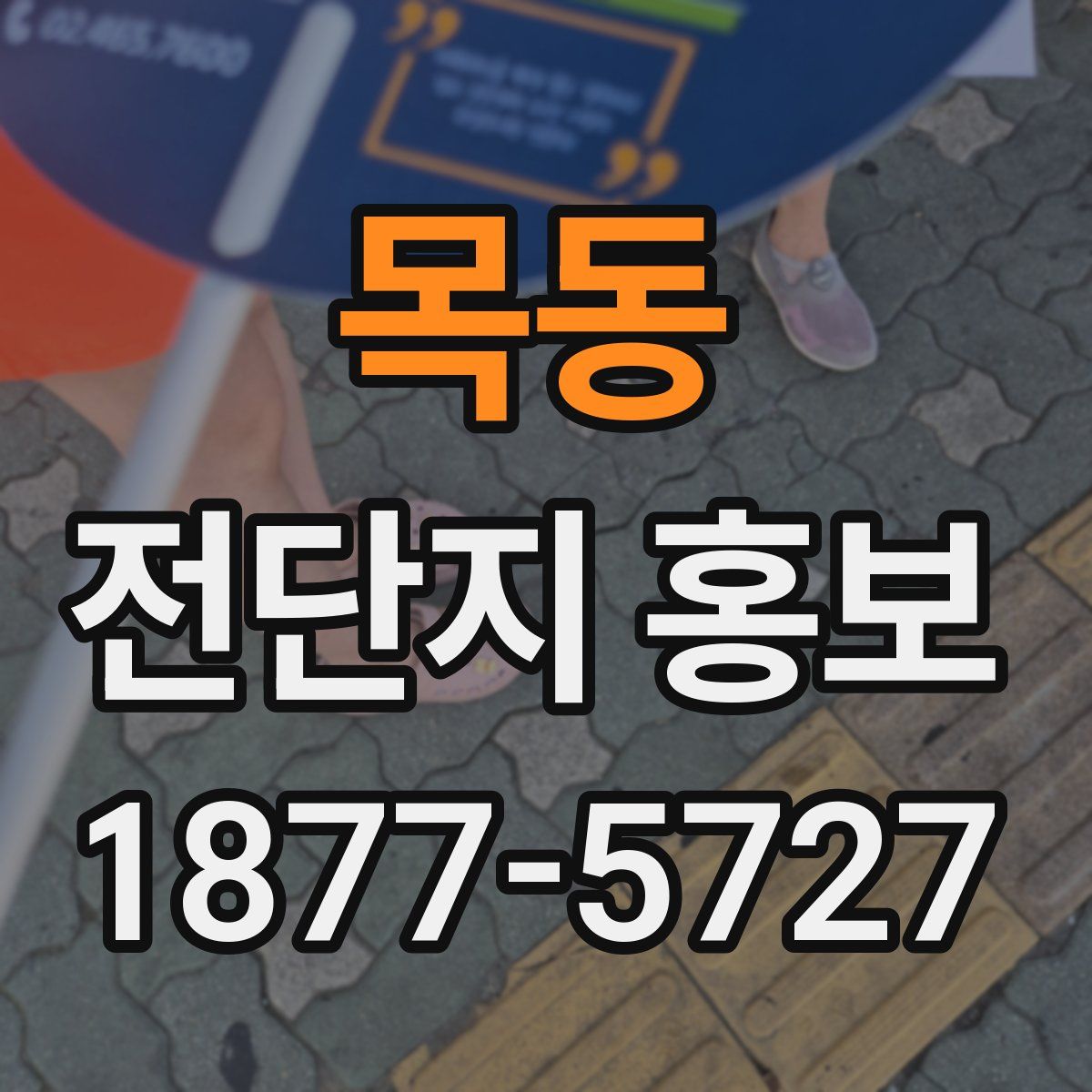목동 전단지 홍보