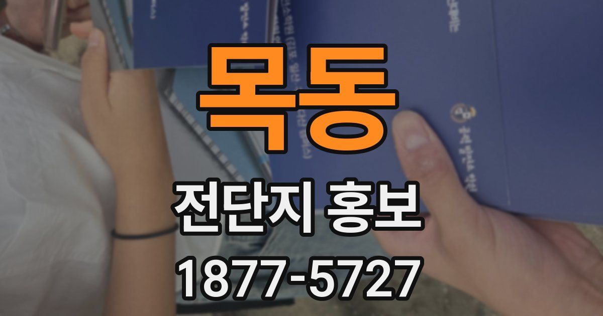 목동 전단지 홍보