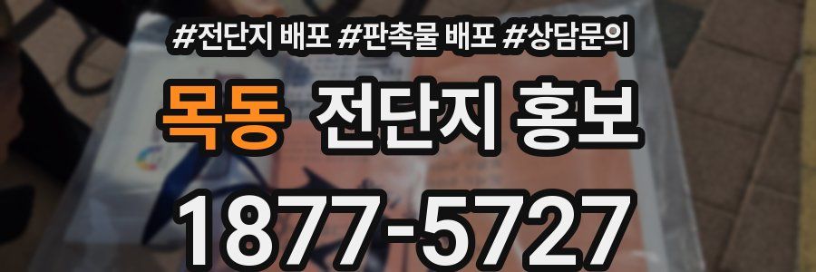 목동 전단지 홍보