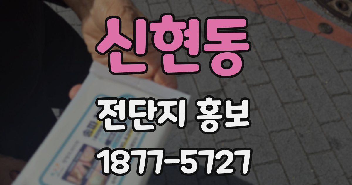 신현동 전단지 홍보