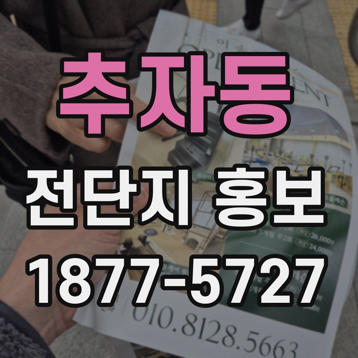 추자동 전단지 홍보