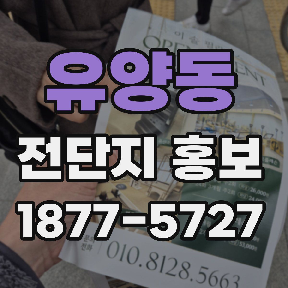 유양동 전단지 홍보