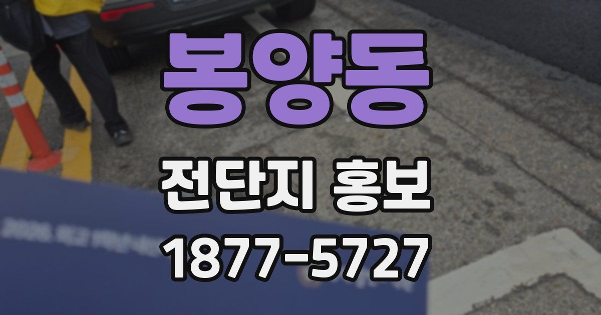 봉양동 전단지 홍보