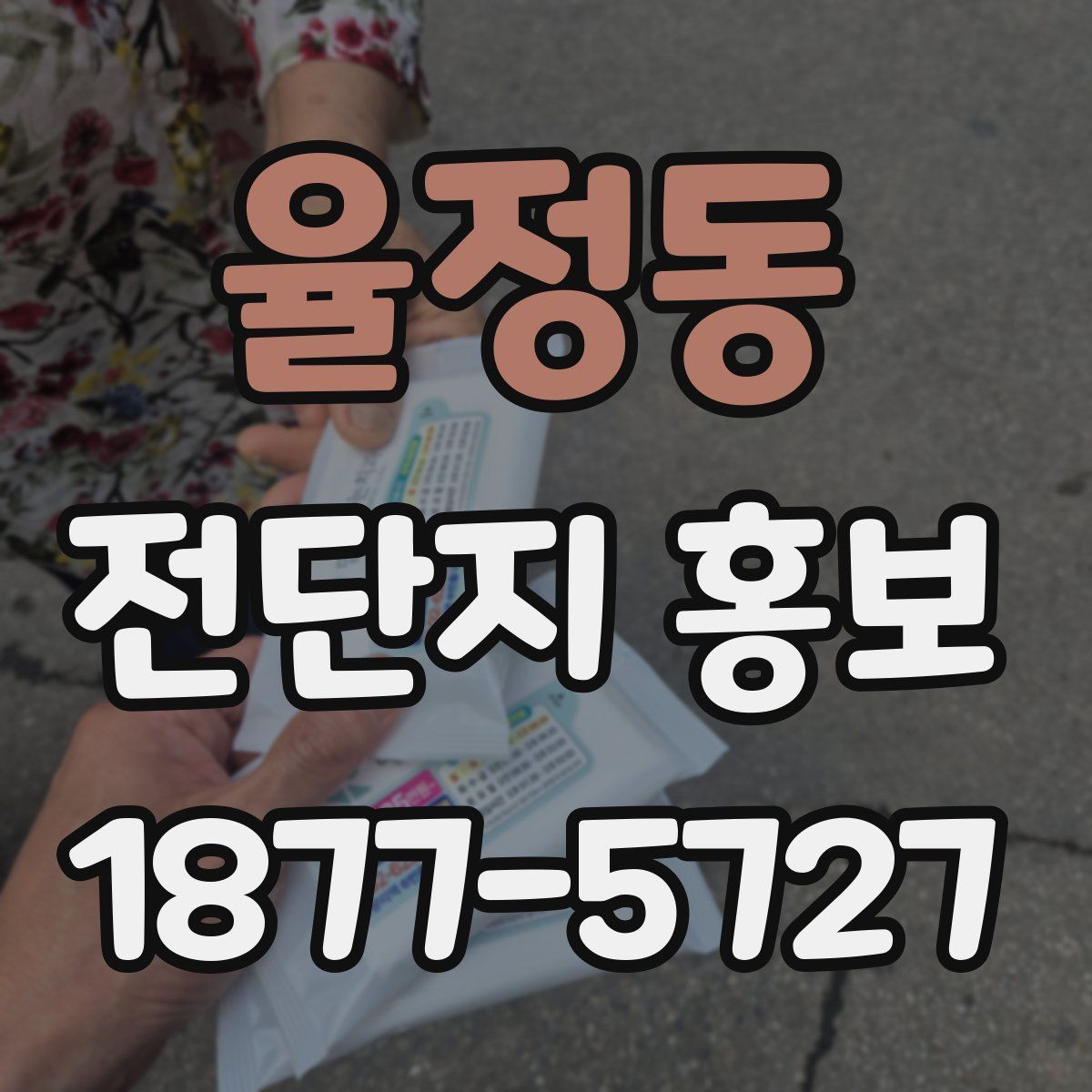 율정동 전단지 홍보