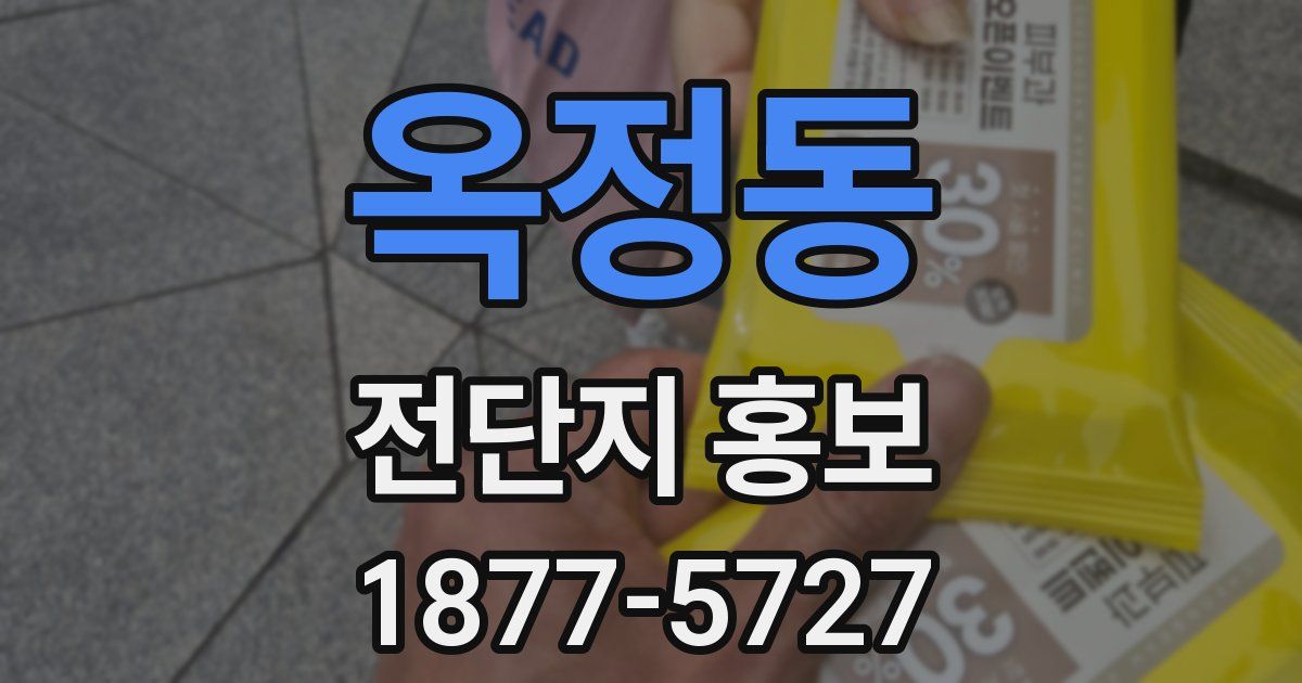 옥정동 전단지 홍보