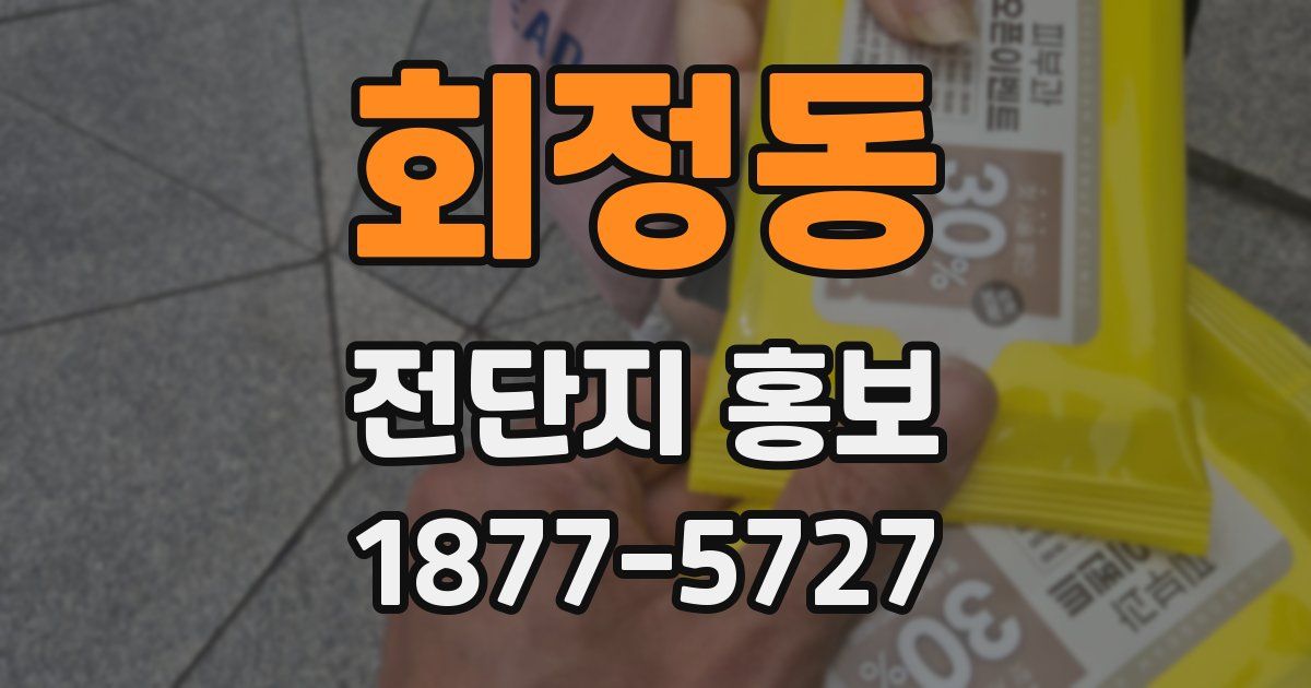 회정동 전단지 홍보