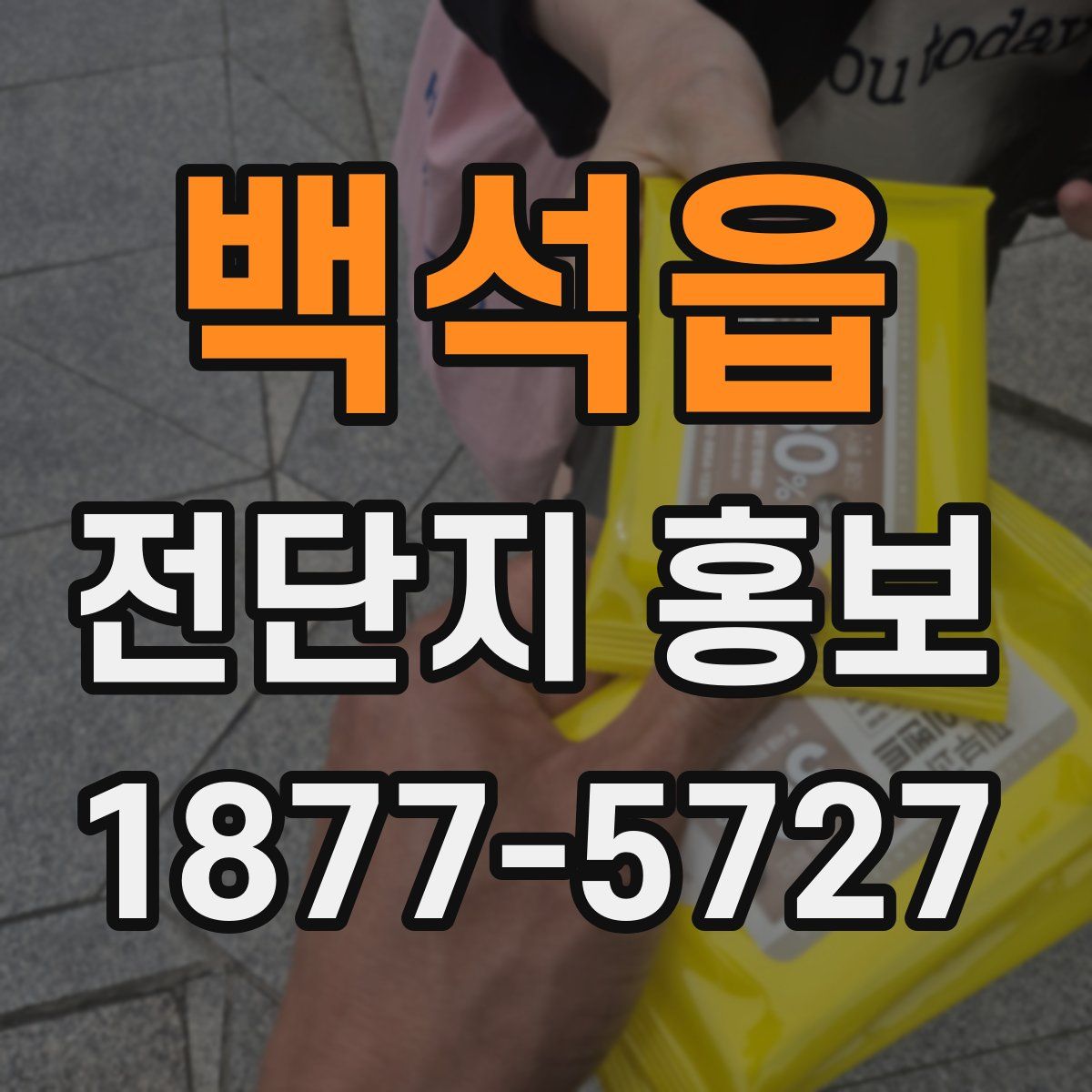 백석읍 전단지 홍보
