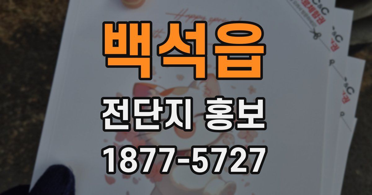 백석읍 전단지 홍보