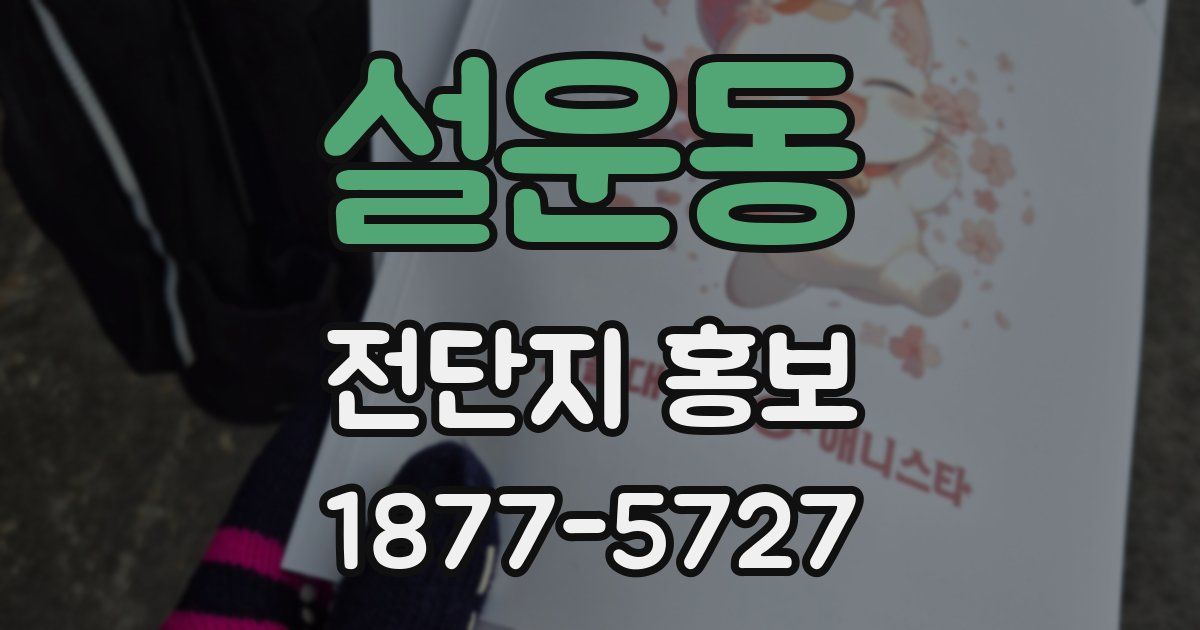 설운동 전단지 홍보